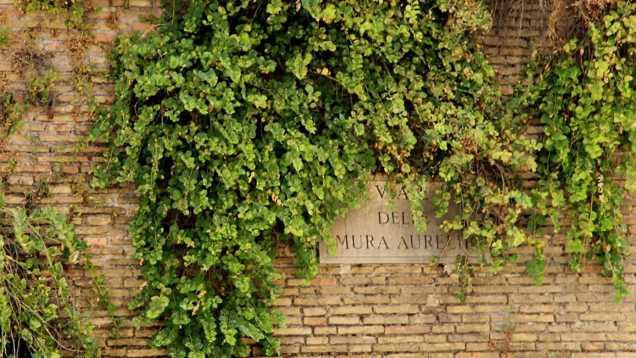 Vista San Pietro Apartment Rome Italy